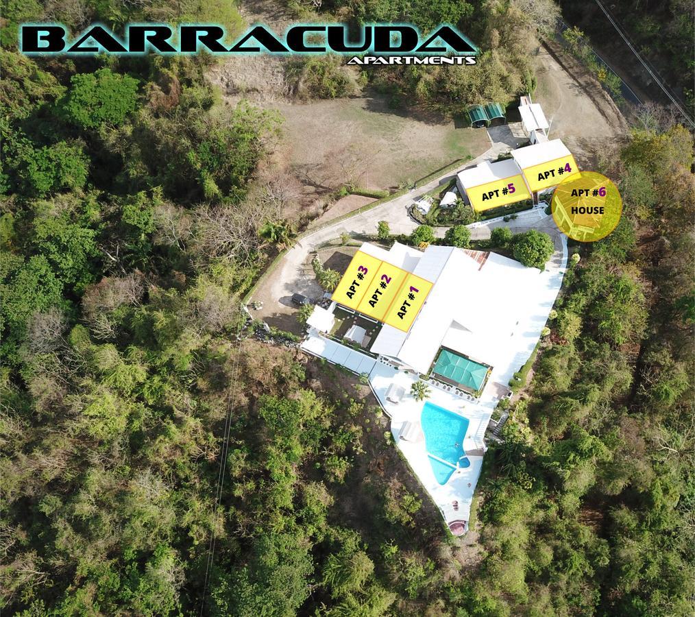 Barracuda Apartments Sámara Exteriör bild